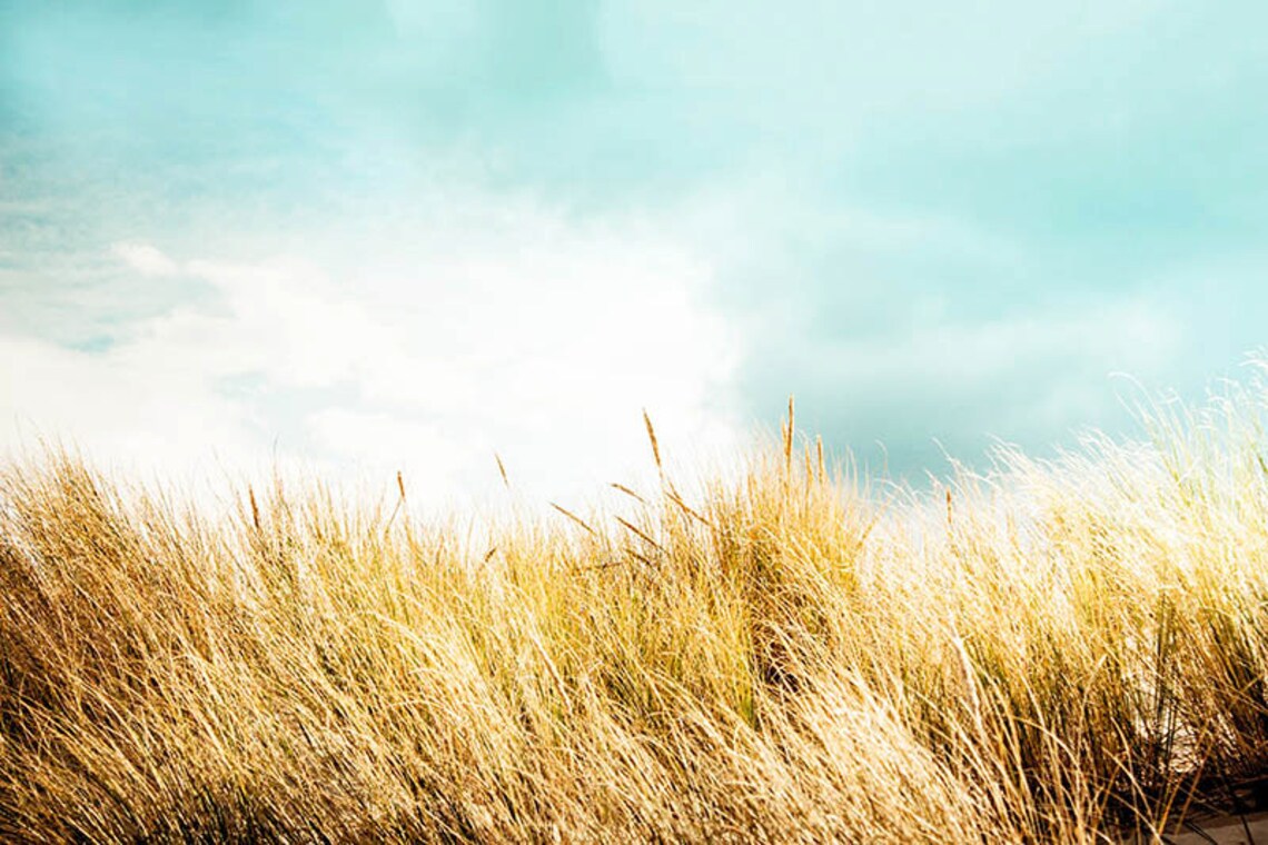 Beach Photography Ocean Beach Grasses Summer Photography 8x10 Etsy