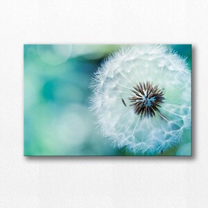 canvas art Dandelion canvas print dandelion wall art dandelion decor large canvas art dandelion photography nursery decor teal blue aqua