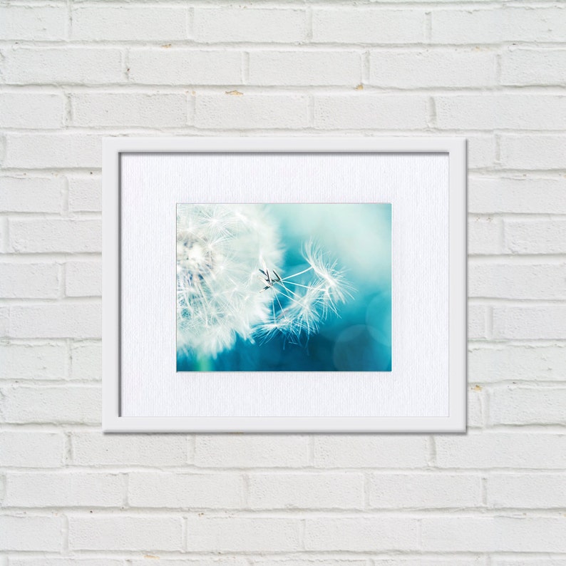 Dandelion Photography Botanical Dandelion Wall Decor 8x10 Etsy New