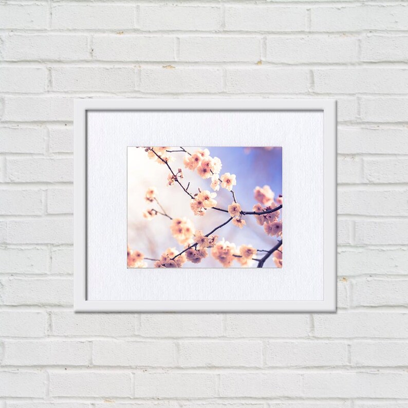 blossom photography flower spring wall art 8x10 8x12 fine art photography floral photography spring bedroom decor nursery lilac pink cream