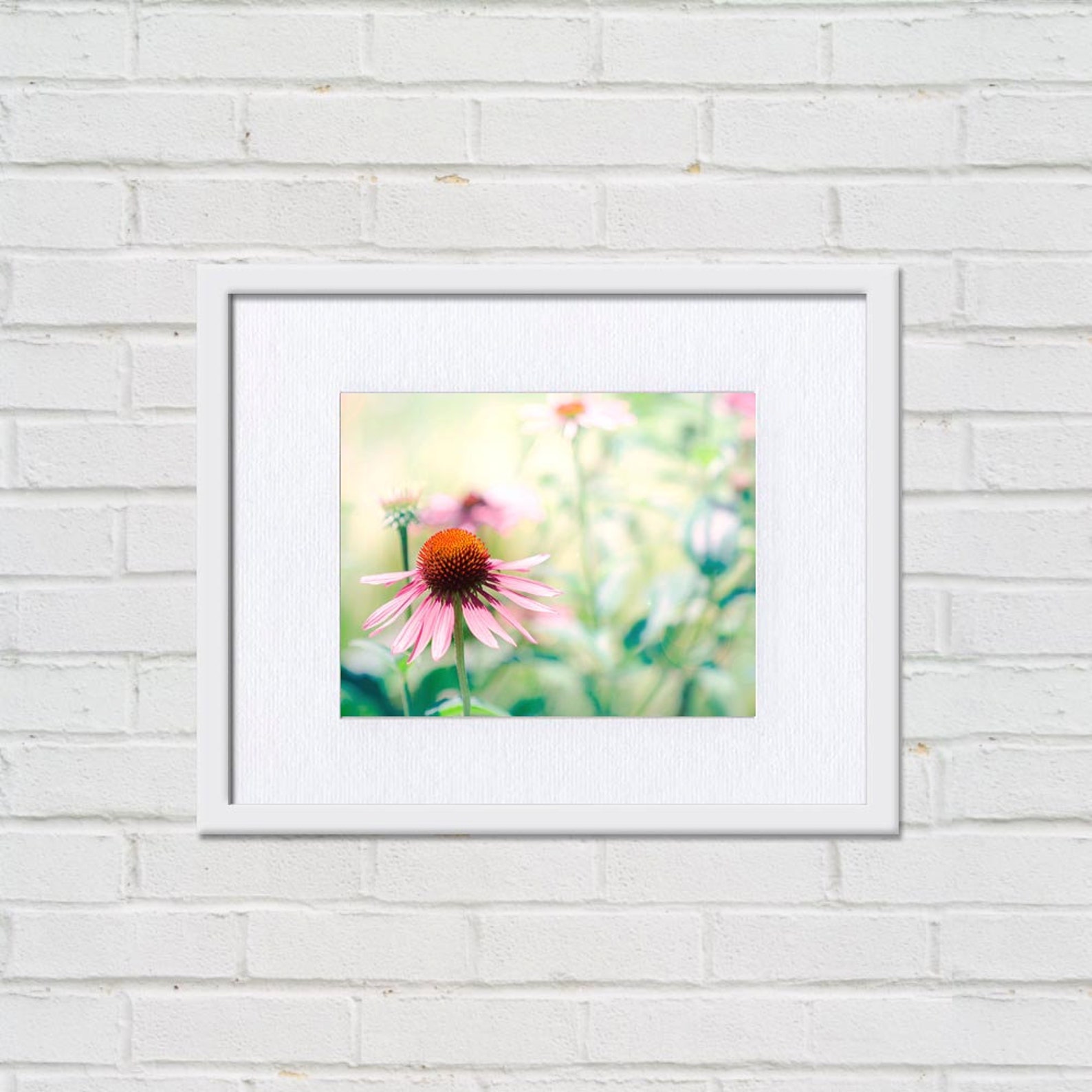 Floral Art Flower Botanical Art Print 8x10 Art Photography - Etsy