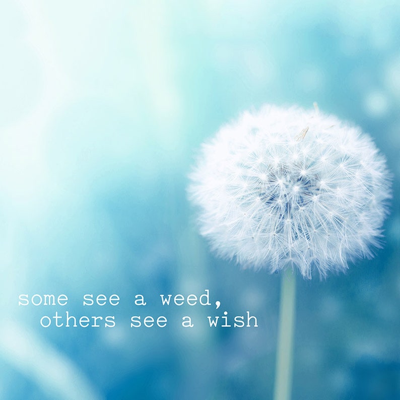 Canvas wall art quote canvas dandelion canvas dandelion wall | Etsy