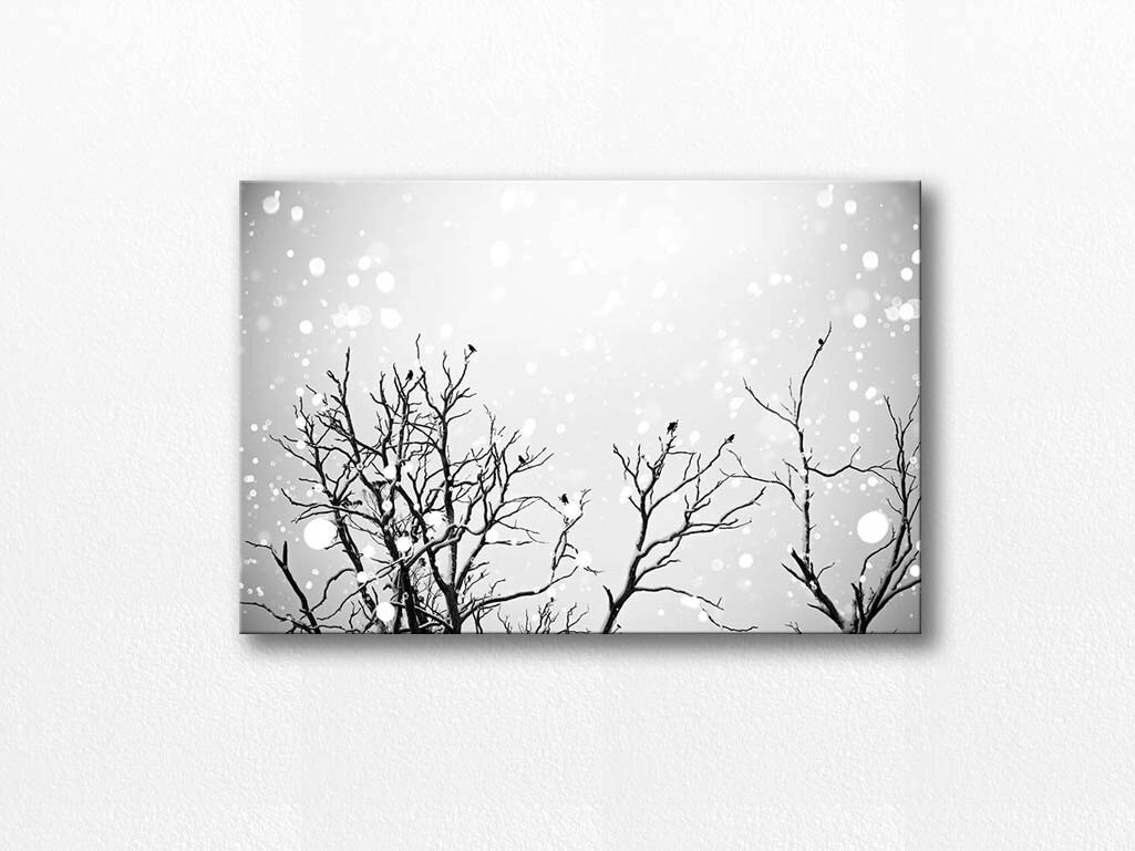 black and white photography birds winter photography 8x10 ...