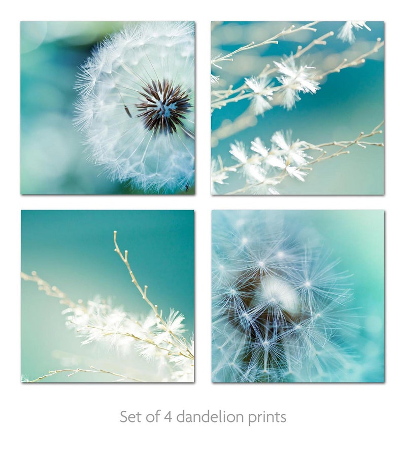 Dandelion photography print set large photos 12x12 fine art Etsy