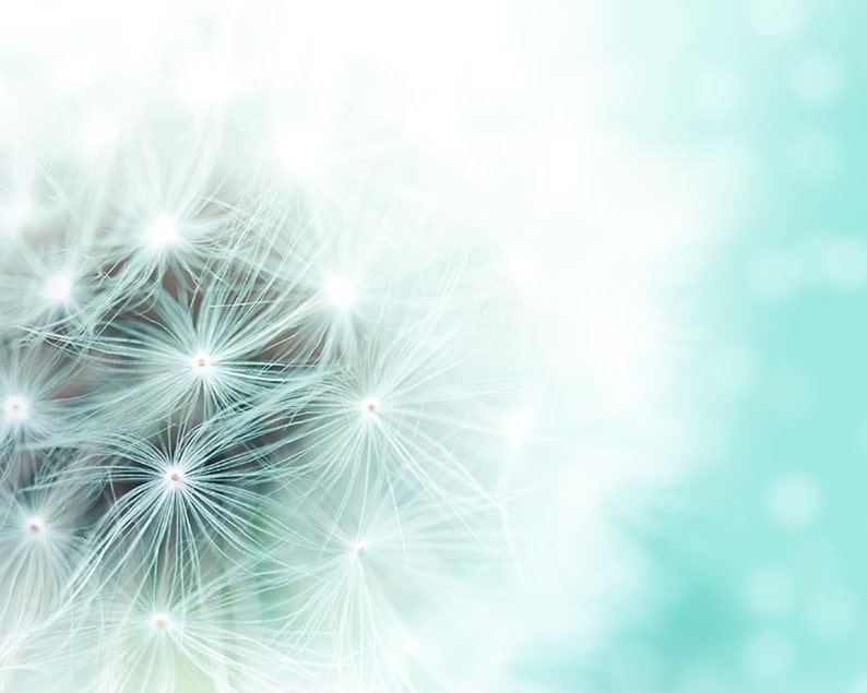 Dandelion Wall Art Dandelion Canvas Abstract Art 20x30 Fine Etsy