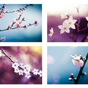 flower photography floral blossom photography set 5x7 8x10 set of 4 fine art photography botanical plum blue spring blossom wall art large