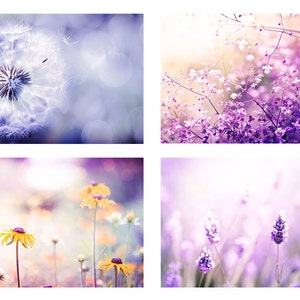 dandelion photography floral print set 8x10 12x18 fine art photography daisy flower photography spring wall decor lilac peach nursery decor