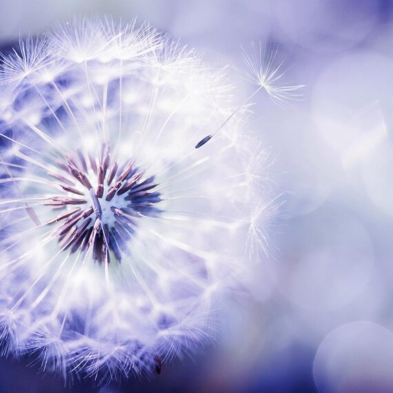 8x12ft Watercolor Oil Painting Backdrop Purple Dandelion Grass Bridal Wedding Valentines Day Birthday Party Photo Background Wallpaper Floral Decorations Portraits