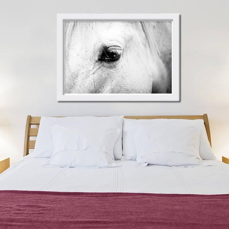 Horse Art Horse Decor Black White Horse Photography Horse Wall Etsy