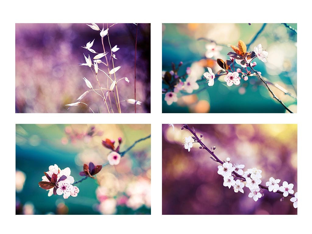 Nature Photography Flowers Spring Photography Blossom Set of 4 - Etsy