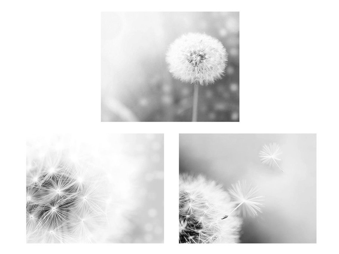 Black and White Wall Art Dandelion Art Dandelion Wall Art Set - Etsy