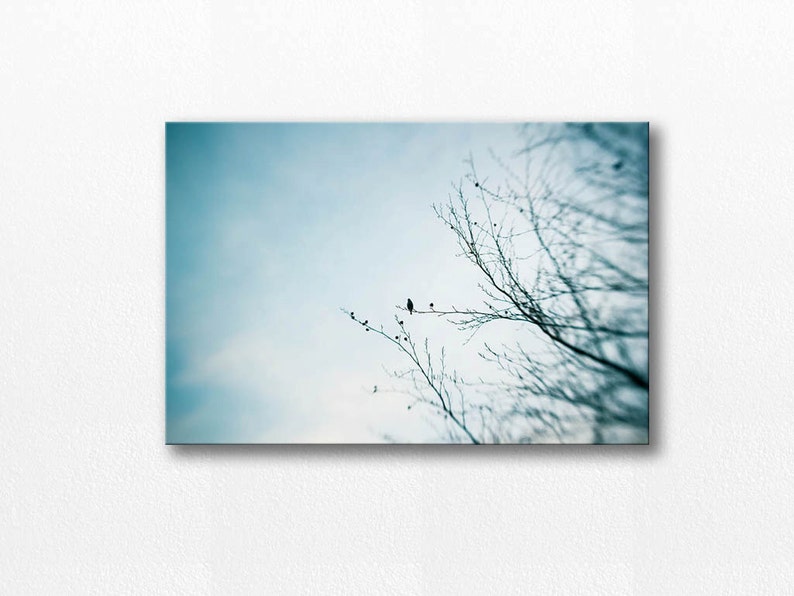 24x36 Inch Nature Poster Unframed of Mists Sometimes you Find Yourself
