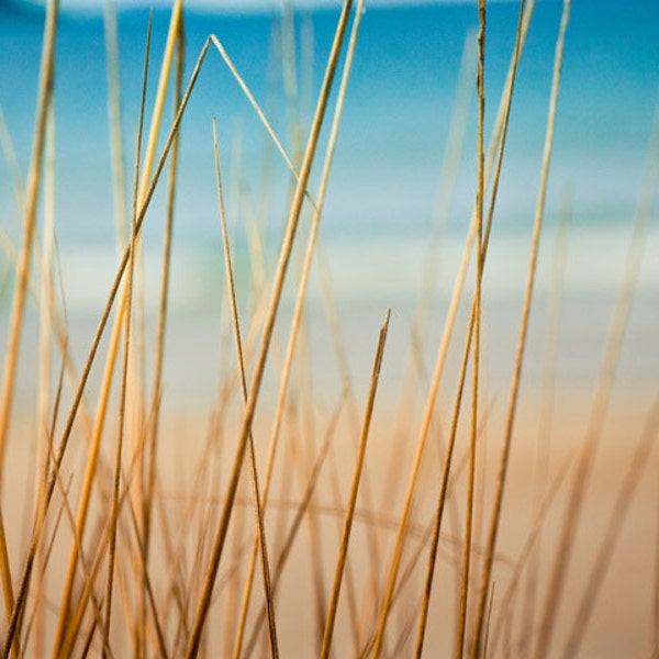 beach grasses photography beach nautical decor 8x10 8x12 fine art photography ocean abstract photography teal art print summer beach photo