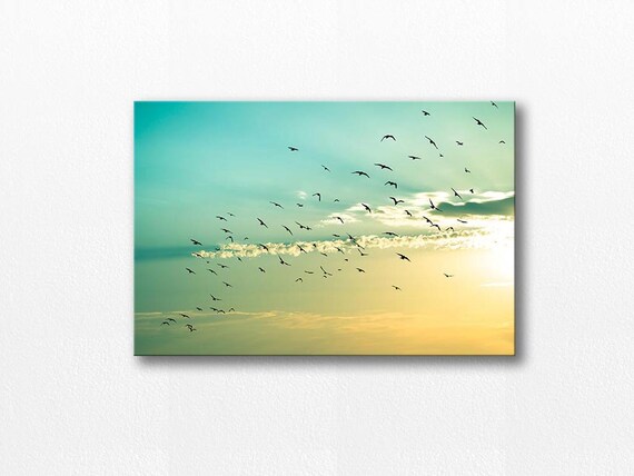 canvas art birds in flight wall art 20x30 birds photography etsy