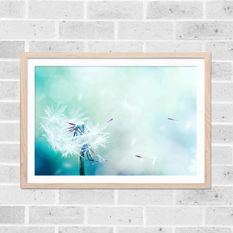 Dandelion art print dandelion wall art dandelion decor | Etsy