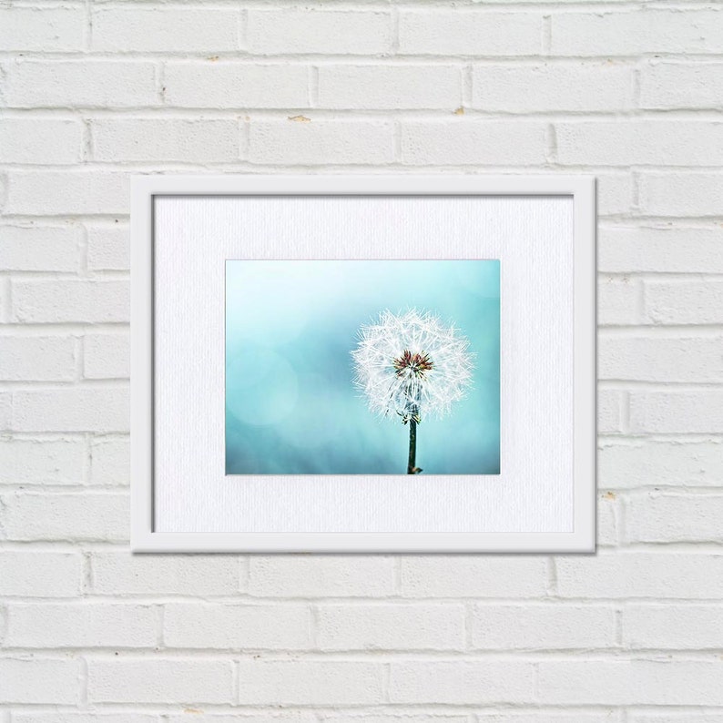 Dandelion Wall Art Dandelion Photography Botanical Print 8x10 Etsy