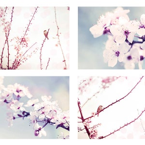 blossom photography print set birds photography spring 8x10 12x18 fine art photography birds in a tree blossom wall decor lilac pastel pink