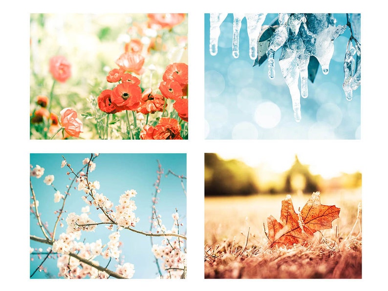 Nature Photography Print Set Four Seasons Photography Blossom 8x10 ...