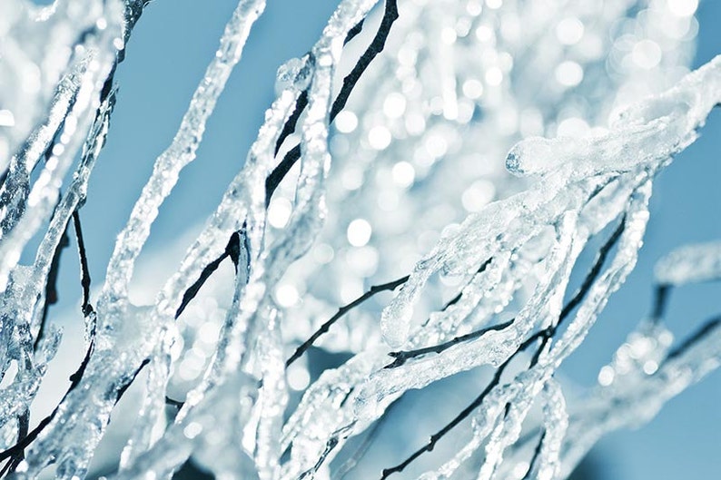 Winter Photography fine art 8x10 abstract photography bokeh icicle print nature photography snow teal art print blue pastel bedroom decor