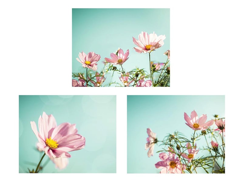 flower photography floral botanical print set of 3 8x10 11x14 fine art photography nature pink photography nursery decor bedroom aqua mint