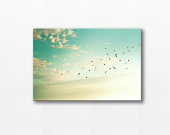 birds photography canvas wrap fine art photography canvas art 20x30 12x18 large canvas art birds flying photography mint cream gallery wrap