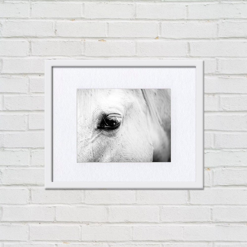 Horse Art Horse Decor Black White Horse Photography Horse Wall - Etsy