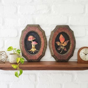 May include: Two framed vintage botanical art pieces with oval openings, one with mushrooms and the other with a leaf. A wooden clock and a small potted plant sit on a wooden shelf. A geometric gold-coloured object is also on the shelf.