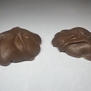 May include: Two chocolate-covered candies are displayed against a white background. The candies have an irregular, organic shape, with a smooth, glossy surface. The color is a rich, dark brown, suggesting a milk or dark chocolate coating.