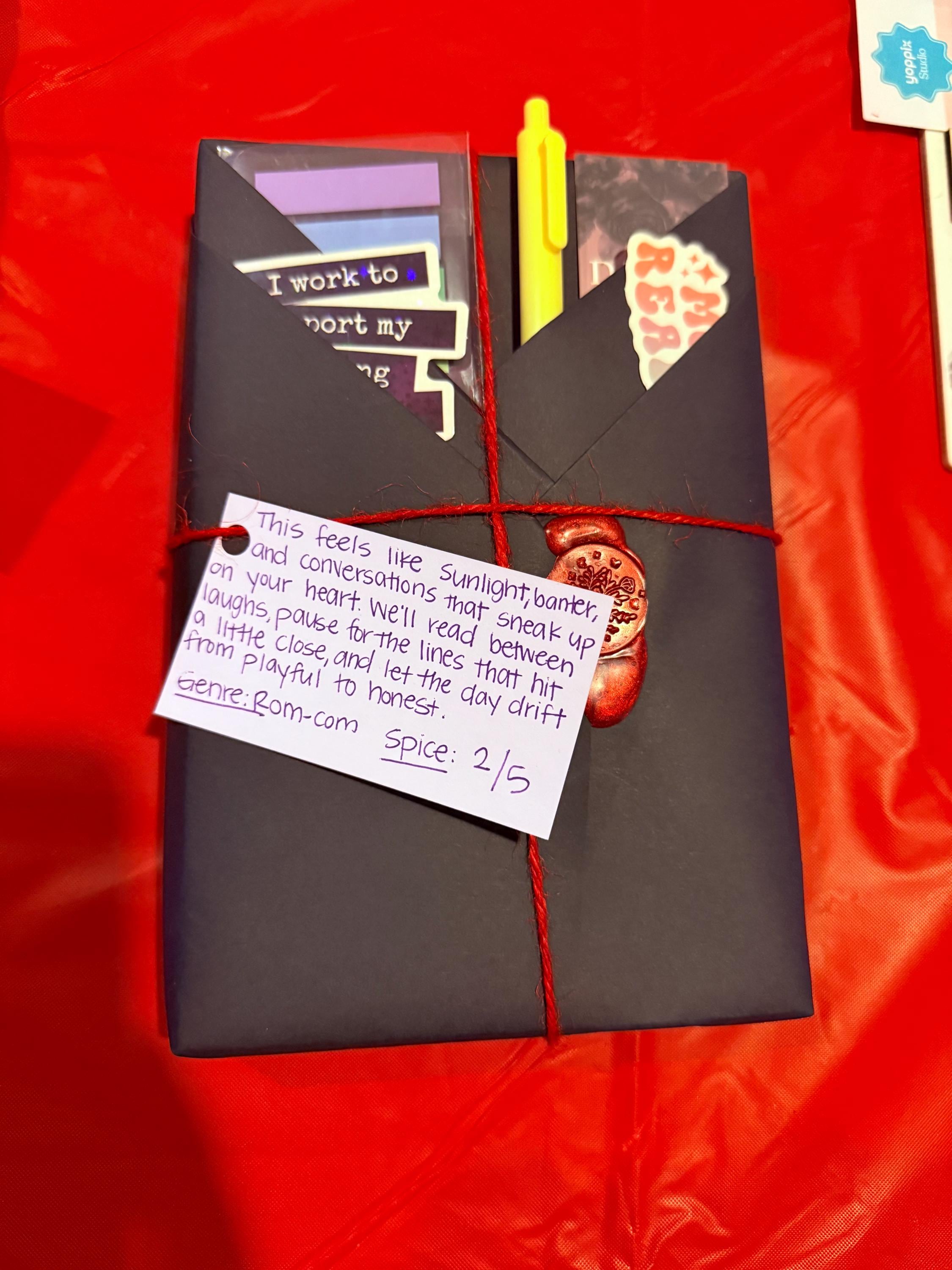 Dark Romance Mystery Book Box | Blind Date With a Book | Shipping ...