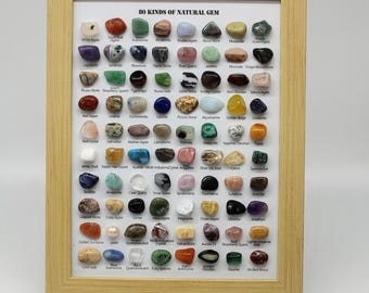 Curated 80-Piece Natural Mineral & Gemstone Collection Display
