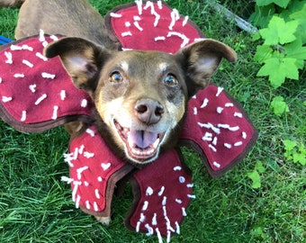 Demogorgon Dog Costume - Stranger Things