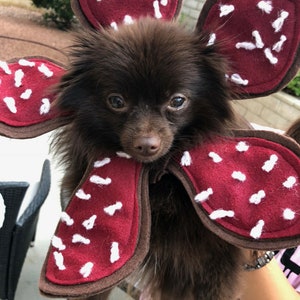 Demogorgon Dog Costume Stranger Things image 2