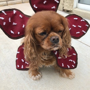 Demogorgon Dog Costume Stranger Things image 3