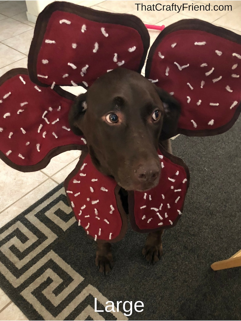 Demogorgon Dog Costume Stranger Things image 7