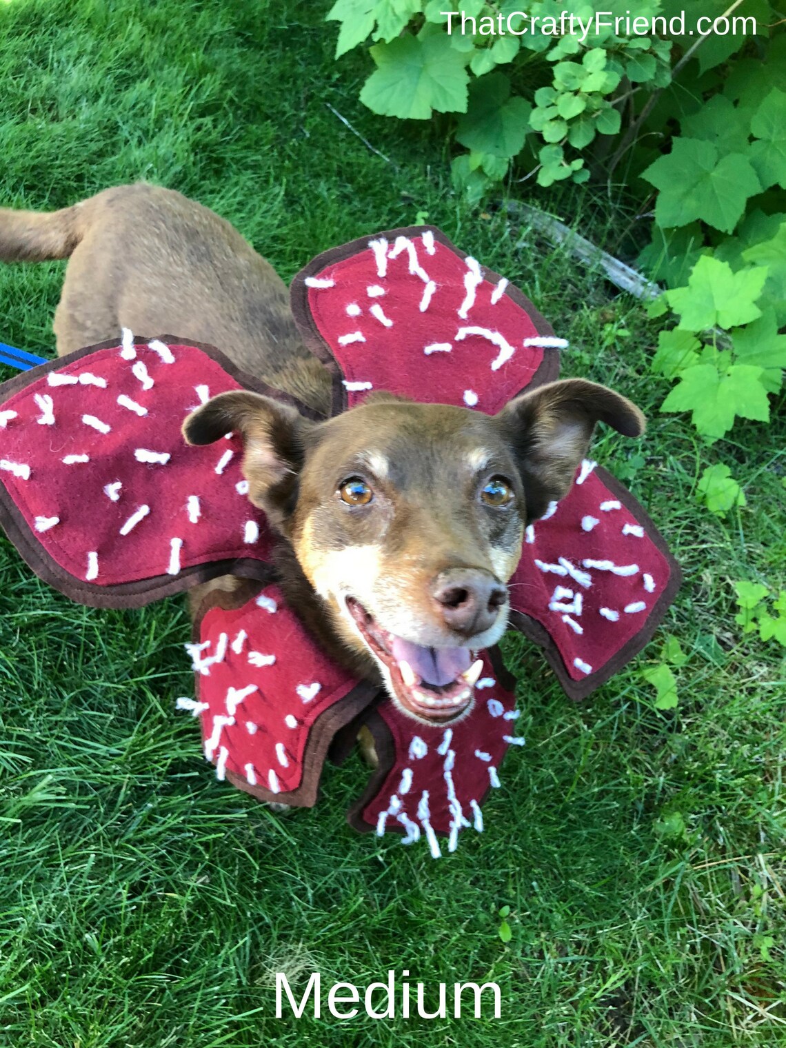 Dog Costume Stranger Things Etsy