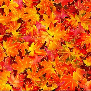 May include: A close-up image of a pile of autumn leaves in shades of orange, red, and yellow. The leaves are arranged in a random pattern, creating a beautiful and colorful display.
