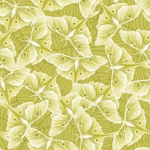 May include: A seamless pattern featuring a repeating design of delicate, white butterflies on a light green background. The butterflies have intricate wing patterns and are arranged in a random, overlapping pattern.