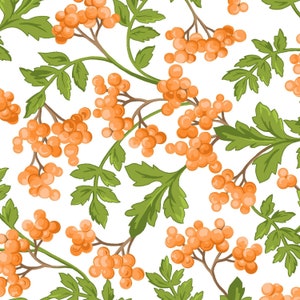 May include: Seamless pattern featuring orange berries and green leaves on a white background. The berries are clustered on brown stems, and the leaves have a detailed, textured appearance. This botanical design is suitable for various applications.