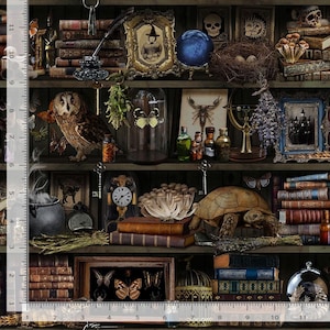May include: A dark wooden bookshelf filled with books, jars, and other objects. The shelf is decorated with a variety of items, including a crystal ball, a skull, a bird's nest, a clock, a tortoise, and a variety of insects. The shelf is also decorated with a variety of plants, including mushrooms, ferns, and lavender.