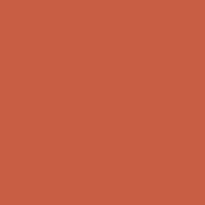 May include: Solid terracotta-colored background. The image is a single color, a warm, earthy tone reminiscent of clay or brick. The color fills the entire frame.