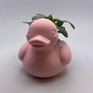 Può includere: Una fioriera a forma di anatra rosa con una pianta succulenta. La fioriera è realizzata in materiale rosa opaco e ha un design classico a forma di anatra. La succulenta ha foglie verdi.