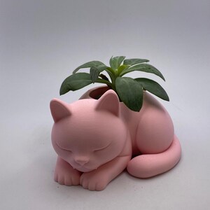 Rosa kattkruka – 3D-utskriven | Kreativ kattkruka