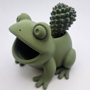 Groene Kikker Plantenpot – 3D Geprint | Breng je Planten tot Leven