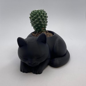 May include: A black cat-shaped planter holding a small green cactus. The cat is in a resting pose with its eyes closed. The cactus has a textured, spiky appearance, and the planter is on a white background.