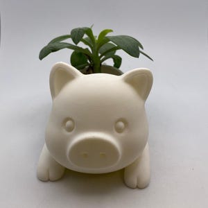 Op de afbeelding: Een crèmekleurige, keramische varkensplanter met een kleine groene plant die uit de bovenkant ontspruit. Het varken heeft een schattig, cartoonachtig ontwerp met zichtbare oren, ogen en een snuit. De planter is ontworpen om kleine planten te bevatten.
