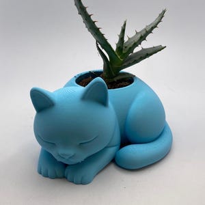 Può includere: Un vaso per piante a forma di gatto azzurro chiaro in posizione di riposo, con una piccola pianta succulenta. Il vaso è realizzato in un materiale solido e ha una finitura liscia. La succulenta ha foglie verdi con bordi appuntiti.