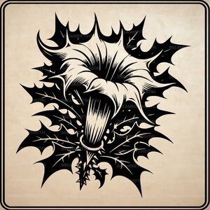 Witchy Poisonous Botanicals SVG PNG Bundle, Gothic Dark Floral Clipart (Digital Download) image 3