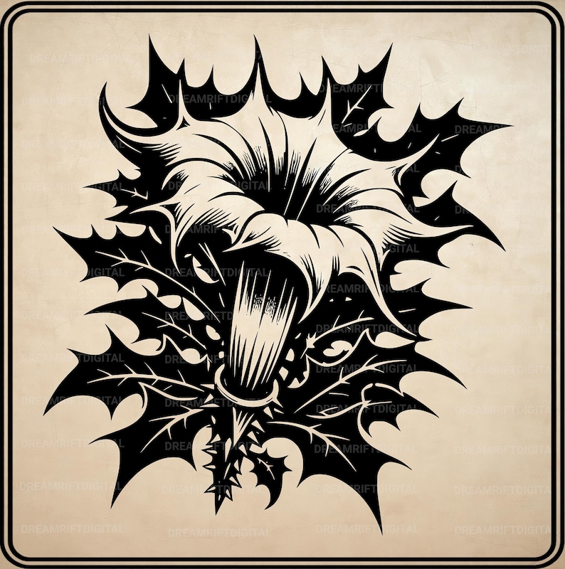 Witchy Poisonous Botanicals SVG PNG Bundle, Gothic Dark Floral Clipart (Digital Download) image 3