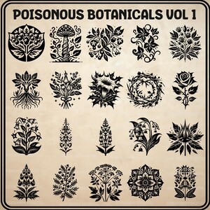 May include: A collection of twenty black botanical illustrations on a light beige background, titled POISONOUS BOTANICALS VOL 1. The set features various plants, flowers, mushrooms, and thorny vines rendered in a high-contrast graphic style.