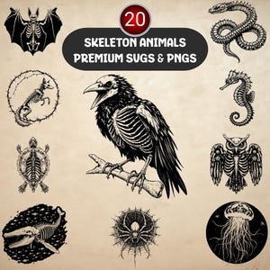 Puede incluir: Ilustraciones en blanco y negro de esqueletos de animales, incluyendo un murciélago, una serpiente, un zorro, un caballito de mar, un búho, una tortuga, una ballena, una araña y una medusa. El texto "20 SKELETON ANIMALS PREMIUM SUGS & PNGS" está en la parte superior.